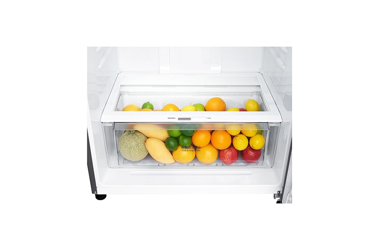 LG Frigorífico de 2 portas | 509 L | Etiqueta energética E | LinearCooLing™ | DoorCooLing+™ | Dispensador sem canaLização, GTF744PZPZD