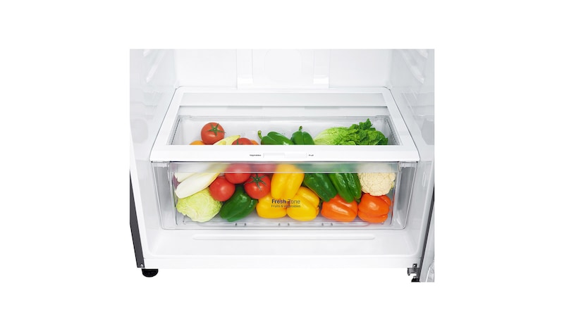 LG Frigorífico de 2 portas | 509 L | Etiqueta energética E | LinearCooLing™ | DoorCooLing+™ | Dispensador sem canaLização, GTF744PZPZD