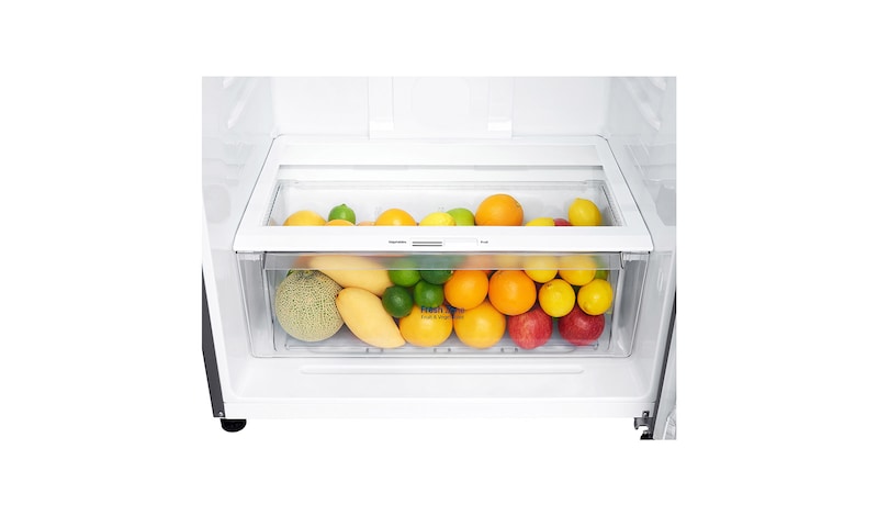 LG Frigorífico de 2 portas | 509 L | Etiqueta energética E | LinearCooLing™ | DoorCooLing+™ | Dispensador sem canaLização, GTF744PZPZD