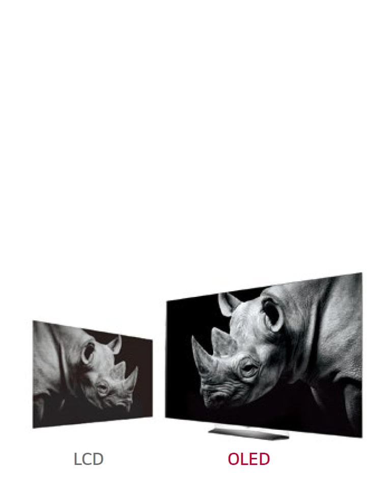 EW961H-06-Infinite-Contrast_D