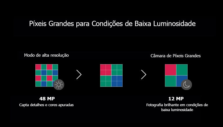 Um gato com uma imagem brilhante à direita, um gato com uma imagem escura à esquerda.