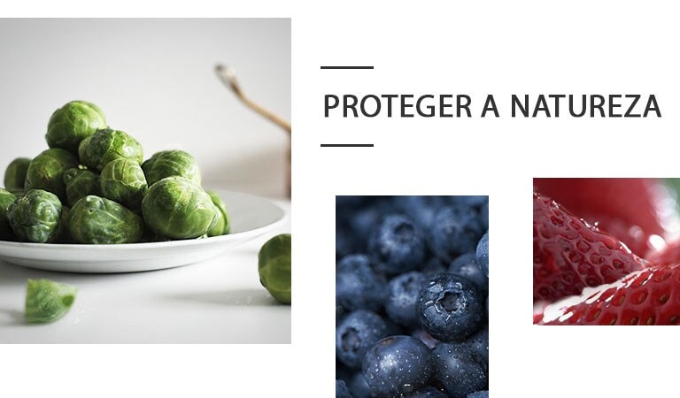 03-Saving-Nature-Desktop