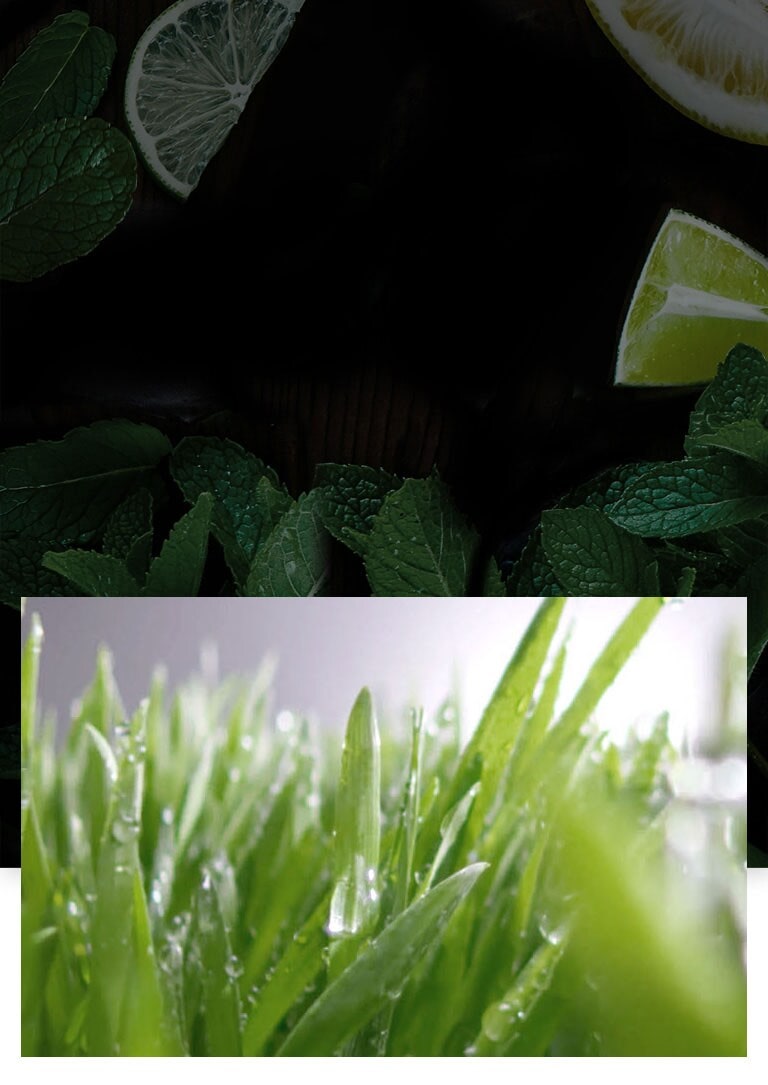 Delicie os seus sentidos3