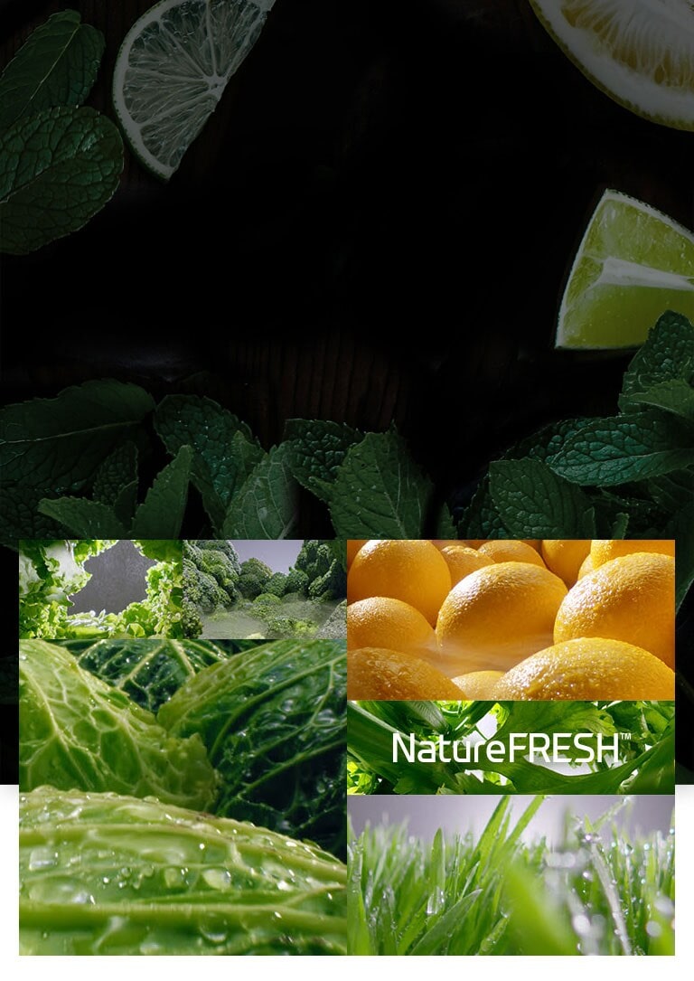 Delicie os seus sentidos3