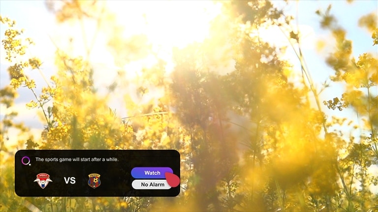 Um ecrã mostra um prado com flores selvagens amarelas a desabrocharem e surge um pop-up de notificação de alerta desportivo no canto inferior esquerdo que mostra o resultado atual. Um cursor clica no botão Ver e a cena muda para mostrar o jogo de futebol. 