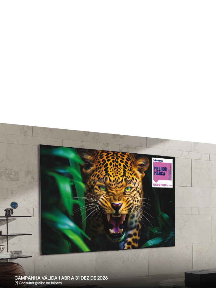 Oferta instalação OLED Evo Gallery