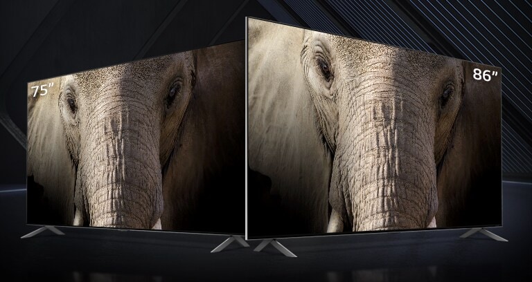 QNED MiniLEDs de 75 e 86 polegadas lado a lado num fundo escuro. O ecrã mostra o close-up de o rosto de um elefante.