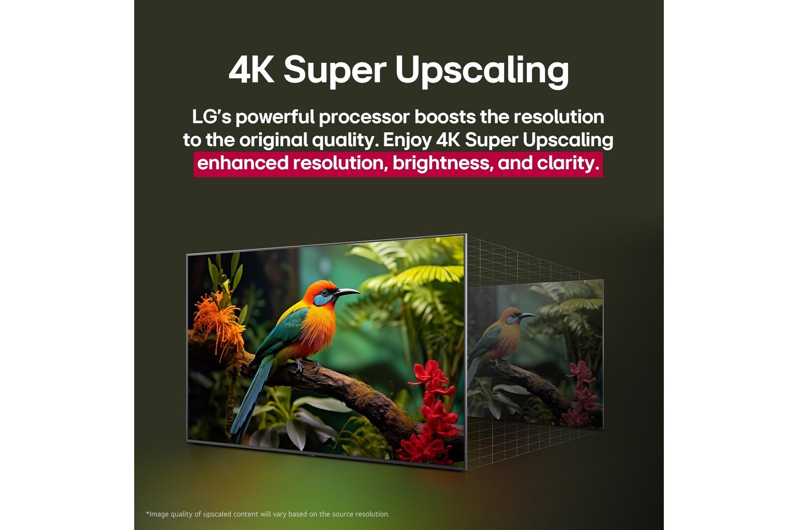 مقارنة لما قبل وبعد لكيفية تحسين LG 4K Super Upscaling لجودة الصورة. لوحتان تعرضان الصورة نفسها لطائر ملون يجلس على فرع في غابة، ولوحة على اليمين تتلاشى. يتحدث العنوان عن كيفية تحسين تقنية 4K Super Upscaling للدقة والسطوع والوضوح. 