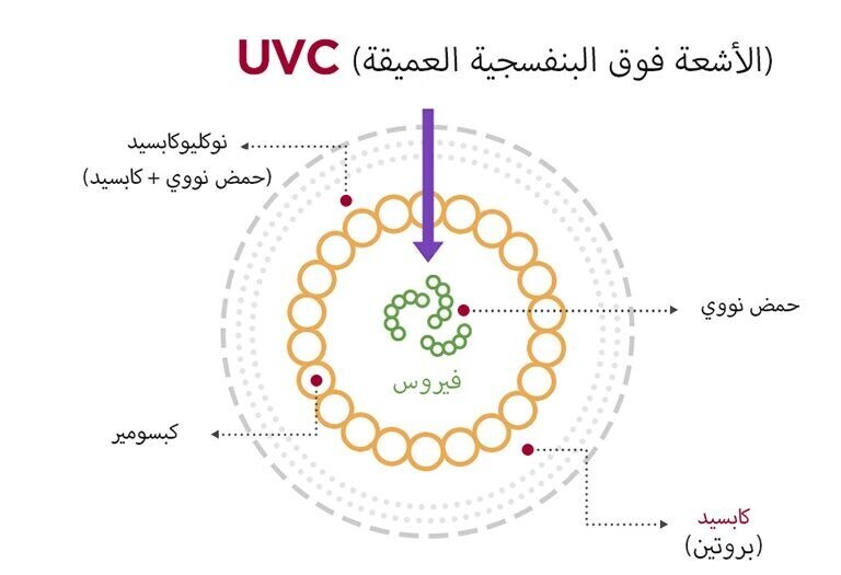 توضح الصورة كيف يقوم UVC بتعقيم الفيروس.