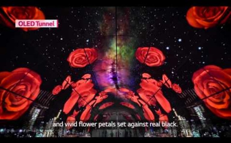 حل قابل للتعديل تمامًا وفقًا للطلب3