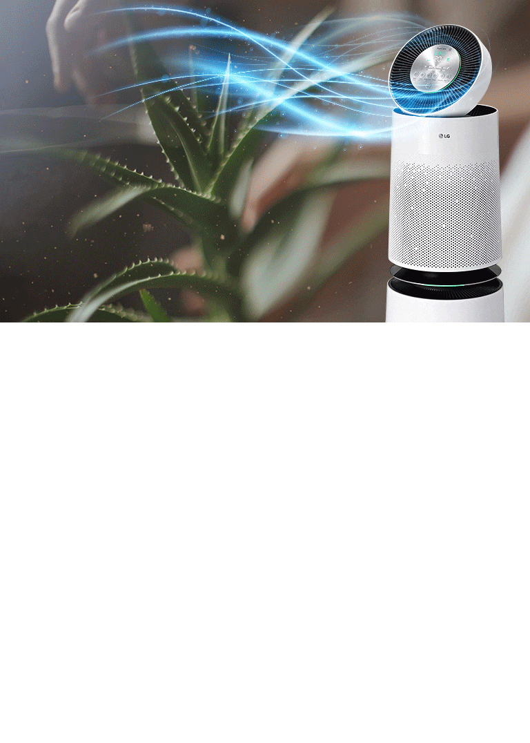 الهواء النقي في جميع أنحاء منزلك