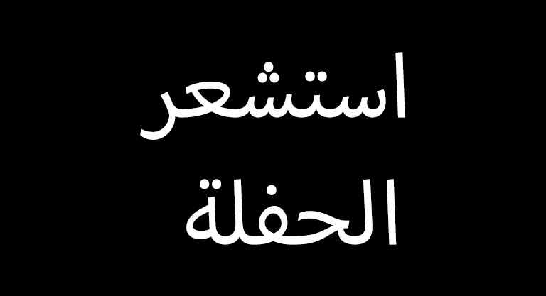 النص فقط