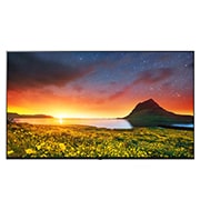 LG تلفزيون ضيافة بدقة 4K UHD مزود بشاشة بتقنية Pro:Centric Direct, 75UR762H0GC