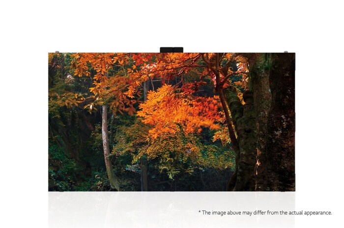 LG سلسلة Fine-pitch Essential, LAS009DB7-F