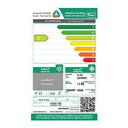 LG 20000 وحدة | بارد | انفرتر | موفر بالطاقة | ريش ذهبية مقاومة للغبار, NV242C1