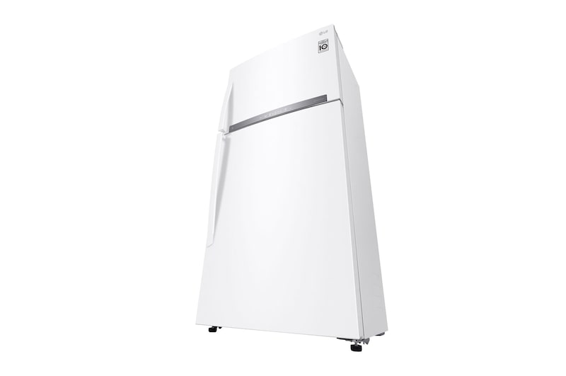 left perspective view