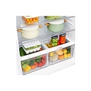 veggie storage 1