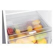 LG 9 قدمًا مكعبًا ، ثلاجة بفريزر علوي ، لون فضي بلاتيني ، تشخيص ذكي ، ضاغط عاكس\t\t\t \t\t\t, LT10CBBDIN