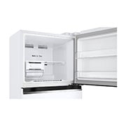 freezer view