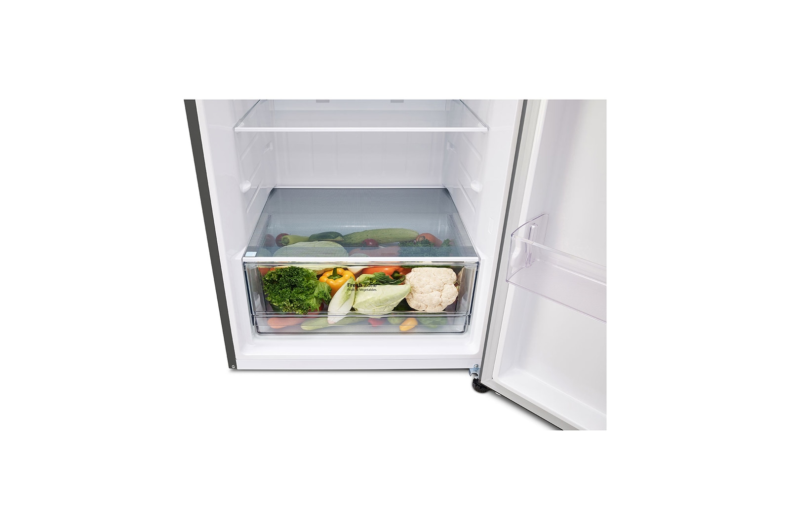 Bottom Freezer