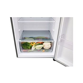 Bottom Freezer