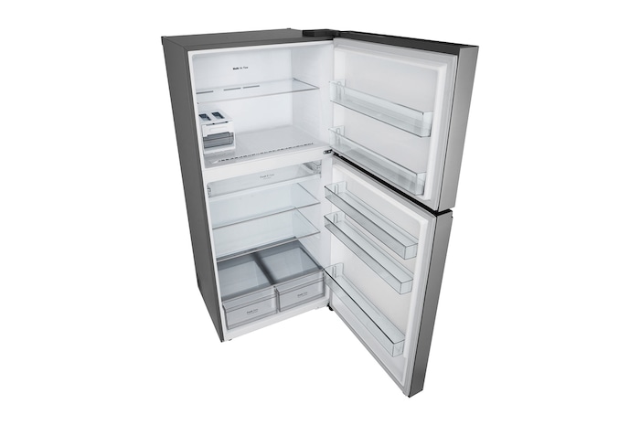 صورة جانبية للجانب الأيمن