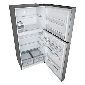 صورة جانبية للجانب الأيمن