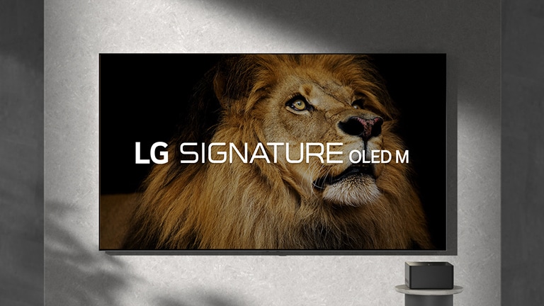 مقطع فيديو يُظهر تلفزيونًا به أسلاك لأجهزة التطبيقات السحابية (OTT) ووحدات تحكم الألعاب وأجهزة التوجيه المتصلة بها بشكل فوضوي. ينفجر كل جهاز، ويتناثر إلى قطع صغيرة جدًا، ثم يختفي، ويتم استبداله بـ Zero Connect Box الأنيق والمدمج، الموجود على طاولة جانبية. الضوء الأزرق بين Zero Connect Box والتلفزيون يصور الاتصال اللاسلكي، ويتم تشغيل مقطع فيديو لحفل موسيقي كلاسيكي على الشاشة. ينتقل المشهد بعد ذلك عبر غرف مختلفة: غرفة ألعاب، وغرفة سينما مريحة، وجدار غرفة رمادية مع وجود أسد على الشاشة.