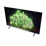 LG تلفزيون OLED مقاس 65 بوصة بدقة 4K من السلسلة A1 من إل جي، تلفزيون OLED ذاتي الإضاءة، معالج a7 من الجيل الرابع يعمل بالذكاء الاصطناعي بدقة 4K، لون أسود مثالي وألوان مثالية, OLED65A1PVA