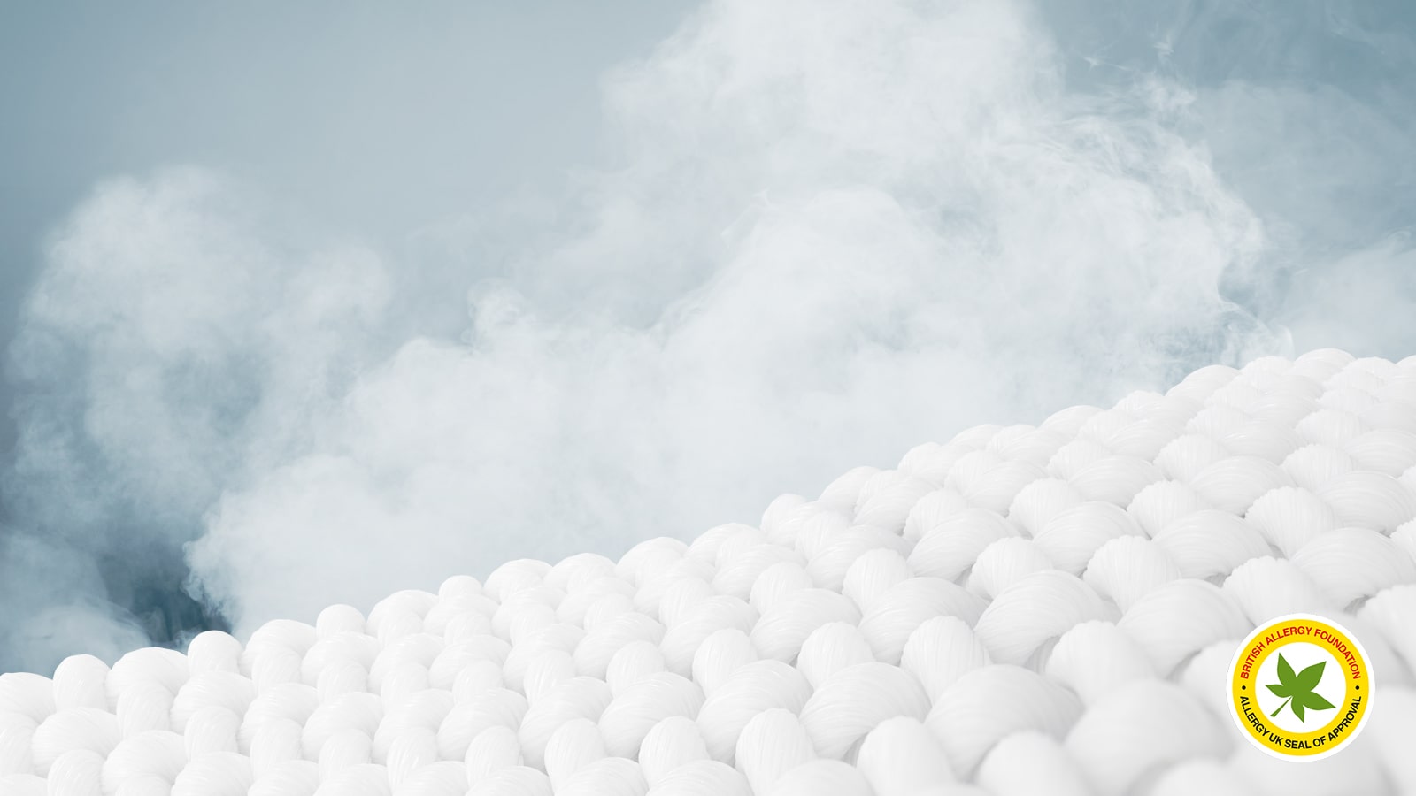 Allergy Care with steam