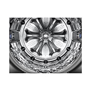 صورة توضح تفاصيل الحوض