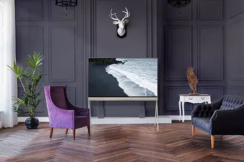 Posé in the center of a modern, charcoal painted wall underneath a deer mount with an image of waves on-screen.