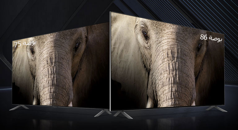 يقف تلفزيون LG QNED Mini LED بحجم 75 و 86 بوصة جنباً إلى جنب على خلفية داكنة. تعرض الشاشات صورة عن قرب لوجه فيل.