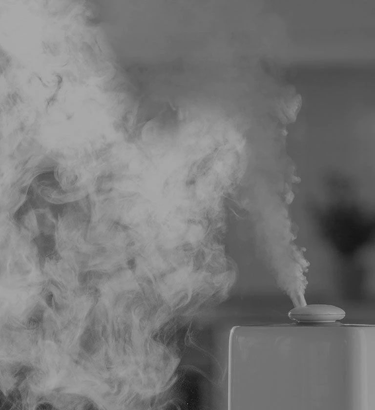 A Humidifier emitting steam