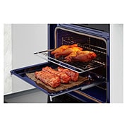 oven chamber detailed view with food