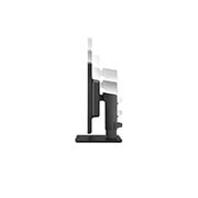 LG 19.3'' 1.3MP IPS Clinical Review Monitor, 19HK312C-W