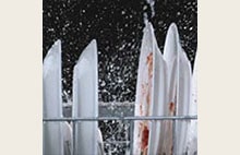 Four Washing Arms