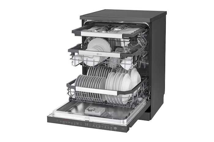 left side perspective view with vessels 