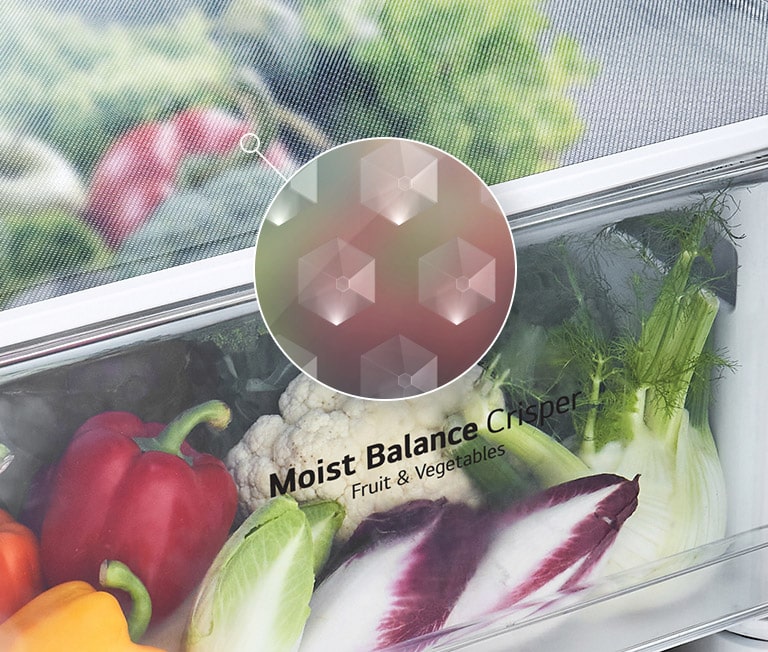 An image of the Moist Balance Crisper drawer is shown filled with fresh produce and a magnified inlay shows the lattice-patterned box cover which helps keep food fresh.