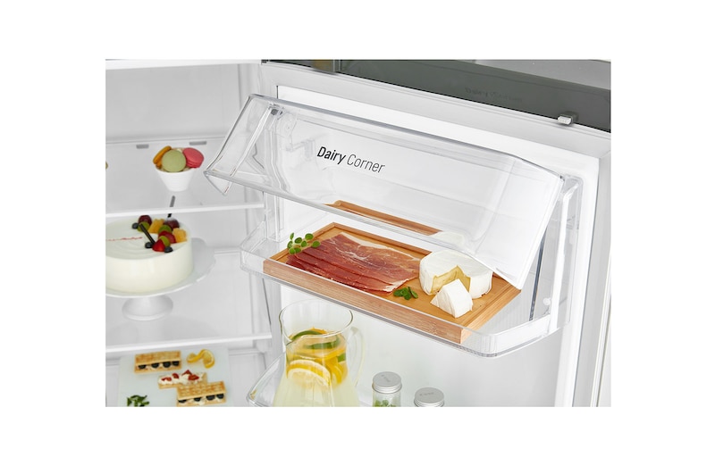 LG 22.1 Cu.Ft, Side By Side Refrigerator, Plantinum Silver Color, Smart Diagnosis, Inverter Linear Compressor, LS242BBSLN