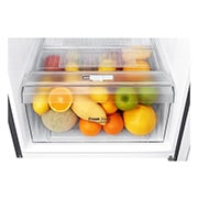 LG 9 Cu.Ft, Top Freezer Refrigerator, Platinum Silver Color, Smart Diagnosis, Inverter Compressor\t\t\t \t\t\t, LT10CBBDIN