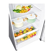 LG 18 S. Cu. Ft, Top Freezer Refrigerator, Silver, Multi Air Flow, Energy Saving, Inverter Linear Compressor, LT19CBBSLN