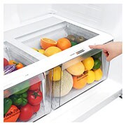 LG 20.9 Cu.Ft | Top Freezer | Energy Saving Inverter Linear Compressor, LT22CBBSLN