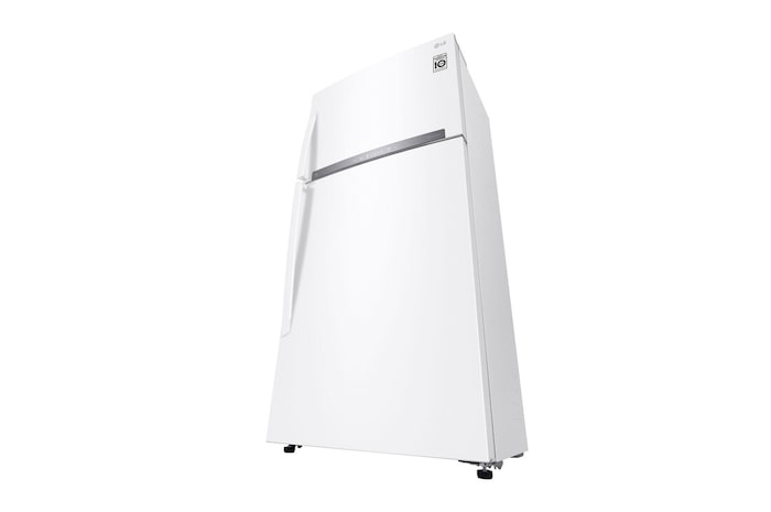 Low Perspective view 1