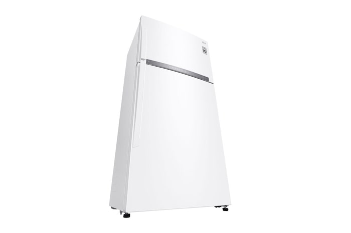 Low Perspective view 2