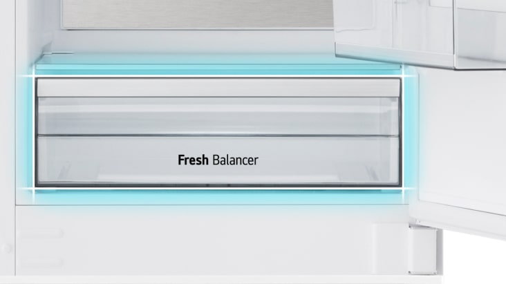 Close-up view of fresh vegetable drawer.