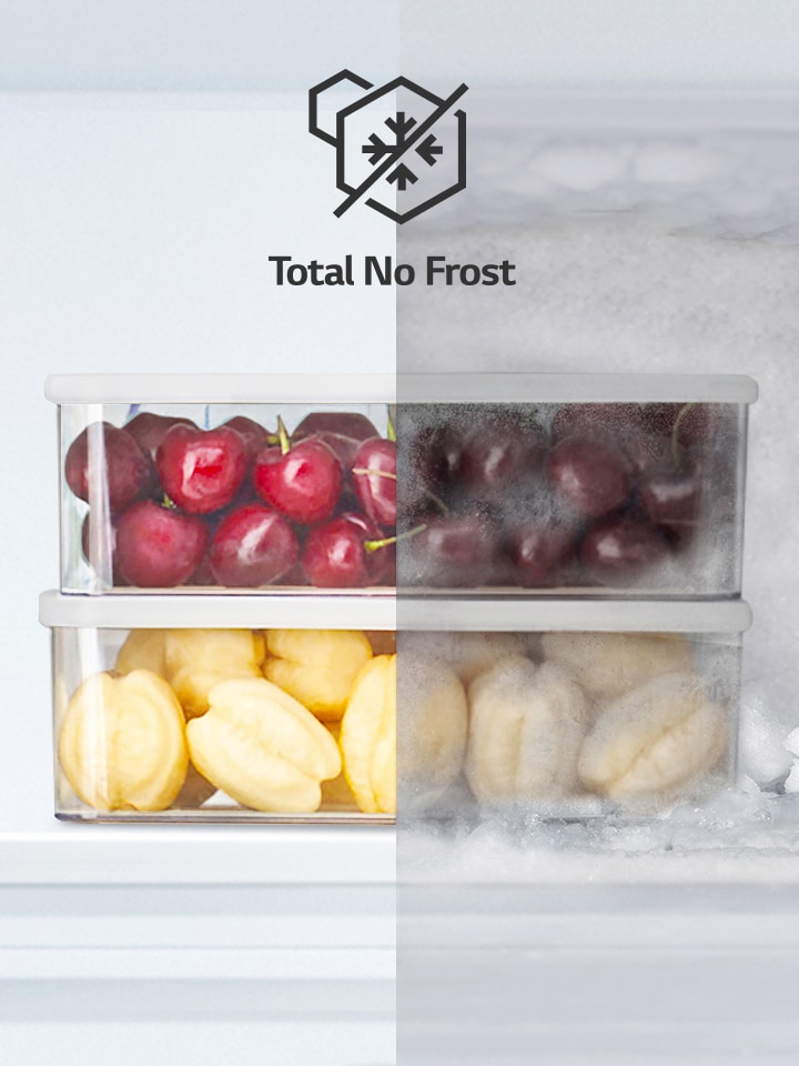 berries half defrosted, half frozen with total no frost icon.