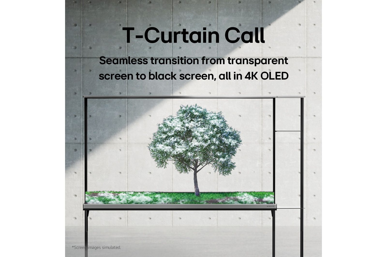 LG SIGNATURE OLED T displaying a green tree that’s been snowed on.