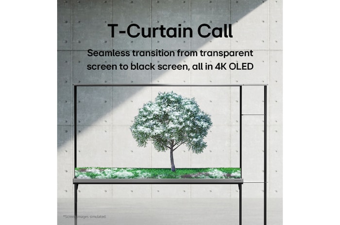 LG SIGNATURE OLED T displaying a green tree thatās been snowed on.