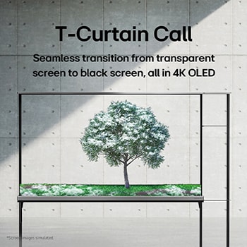 LG SIGNATURE OLED T displaying a green tree that’s been snowed on.
